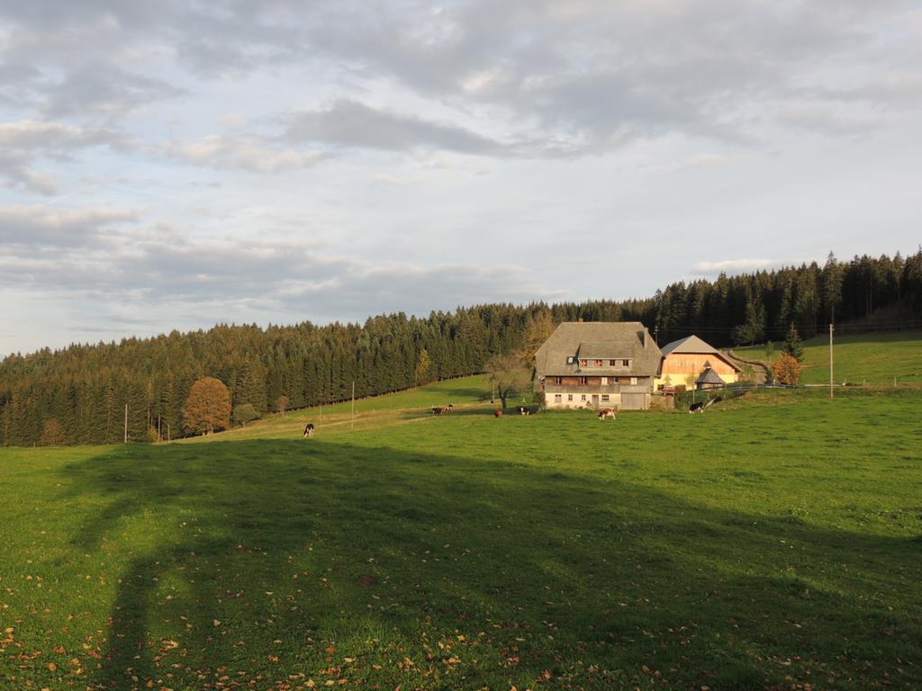 Pension Altvogtshof Eisenbach  Exterior photo