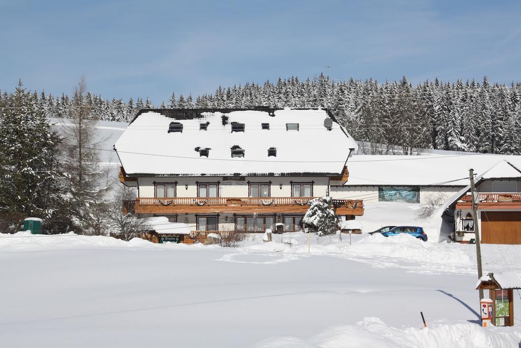 Pension Altvogtshof Eisenbach  Exterior photo