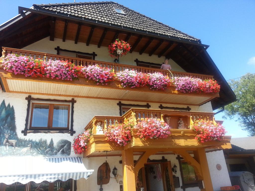 Pension Altvogtshof Eisenbach  Exterior photo