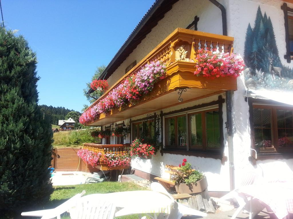 Pension Altvogtshof Eisenbach  Exterior photo