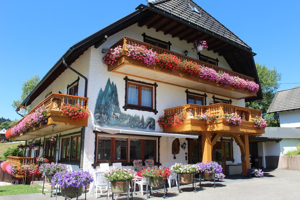 Pension Altvogtshof Eisenbach  Exterior photo